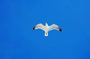 Blauer Himmel verspricht herrliches Urlaubswetter