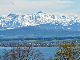 Landschaft am Bodensee