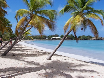 Martinique - Traumreiseziel in der Karibik
