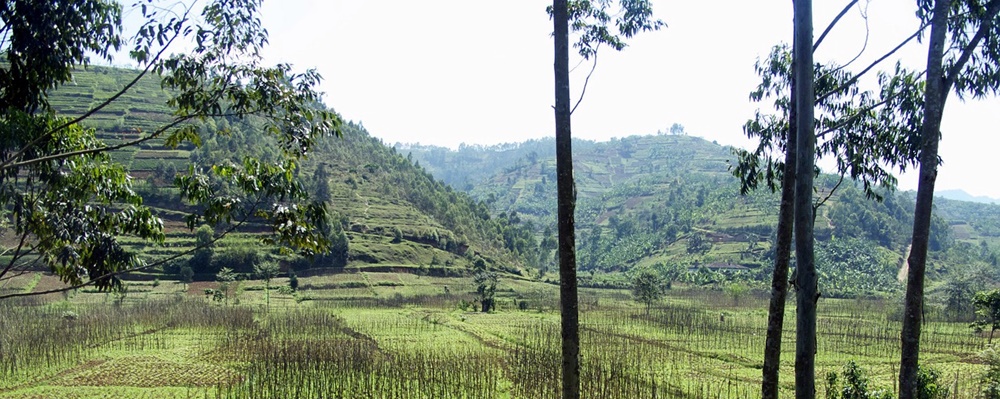 Ruanda-Reise - im Herzen Afrikas Ruanda Rundreise