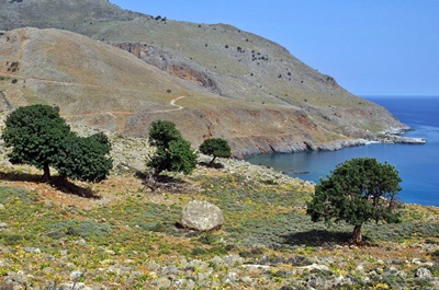 Kreta - Geschichte Kreta - Insel mit bewegender Geschichte